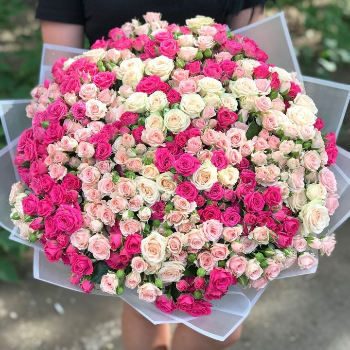 101 кустовая роза в Сейшелах